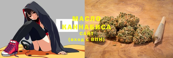 гашик Каменка