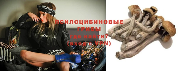 гашик Каменка