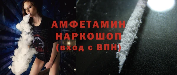 гашик Каменка