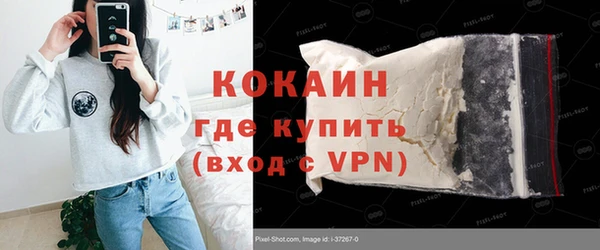 гашик Каменка