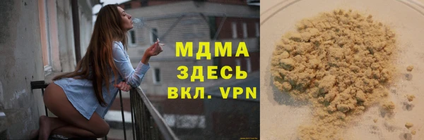 гашик Каменка