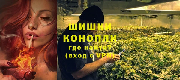 гашик Каменка
