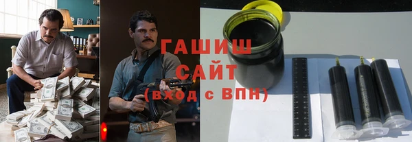 гашик Каменка