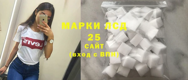 гашик Каменка