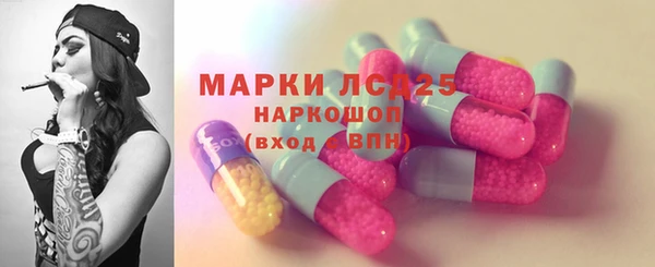 гашик Каменка