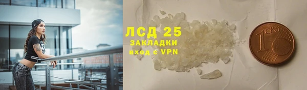 гашик Каменка