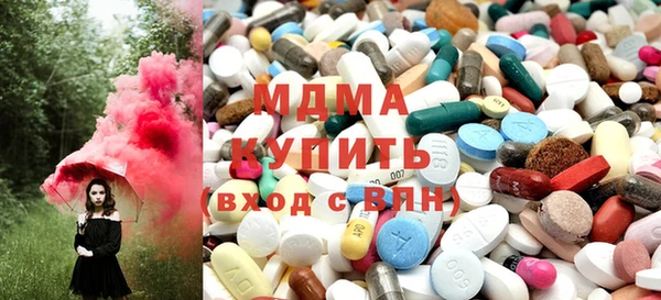 гашик Каменка