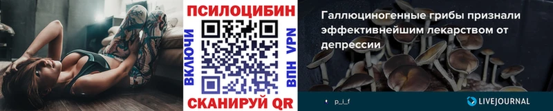 Купить  Котельники  Галлюциногенные грибы Psilocybe 