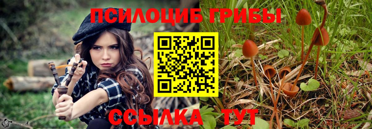 Галлюциногенные грибы Psilocybe  Котельники 