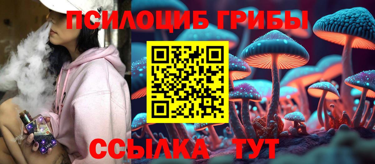 Псилоцибиновые грибы ЛСД  магазин продажи наркотиков  Котельники  Вход с VPN 