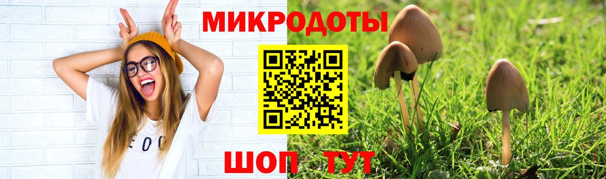 Галлюциногенные грибы ЛСД Котельники