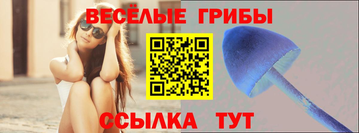 Псилоцибиновые грибы прущие грибы Котельники